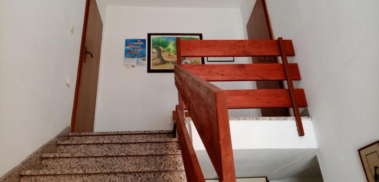 Apartments Bilo Near Primosten Luaran gambar