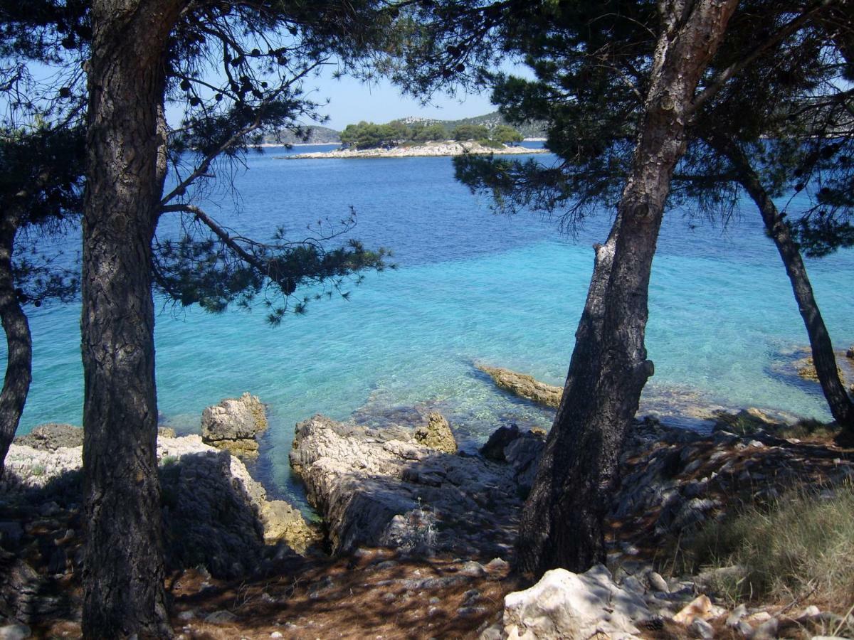 Apartments Bilo Near Primosten Luaran gambar